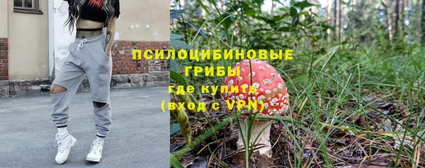 а пвп мука Алзамай