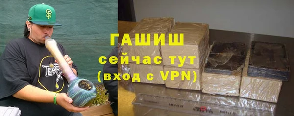 гидра Абаза