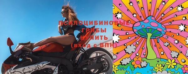 дживик Алексеевка