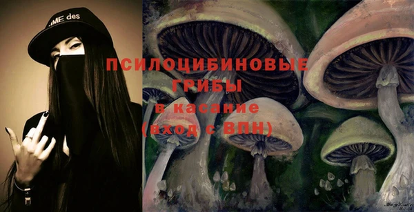 первитин Алексин