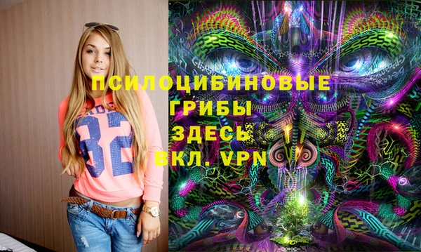 первитин Алексин