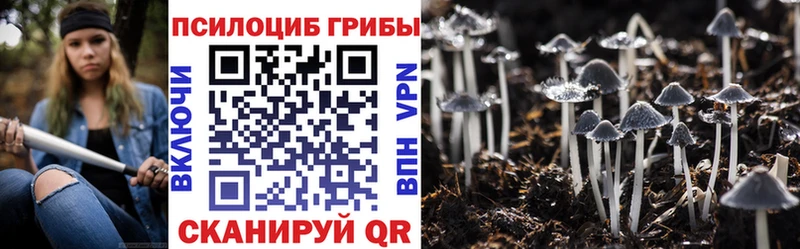 Галлюциногенные грибы Cubensis kraken ТОР Заводоуковск сайты даркнета телеграм что такое наркотик