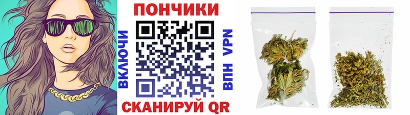Конопля план  ОМГ ОМГ   Заводоуковск 